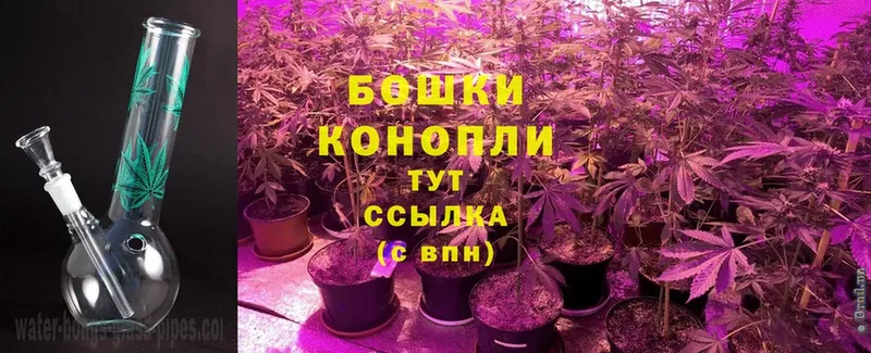 Бошки марихуана Bruce Banner  shop формула  Велиж 